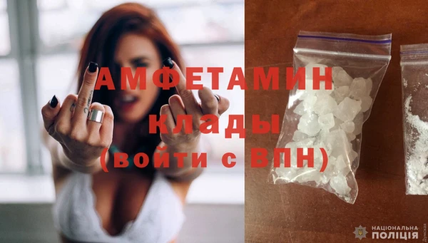 трава Медвежьегорск