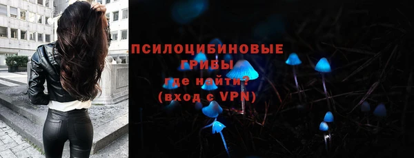 соль ск Бердск