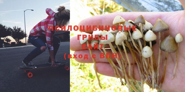 альфа пвп Артём
